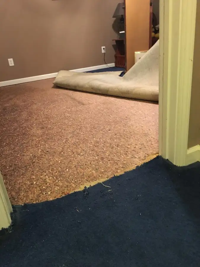 Carpet pad removal revealing water damage during Drying & Dehumidification in Parsippany-Troy Hills